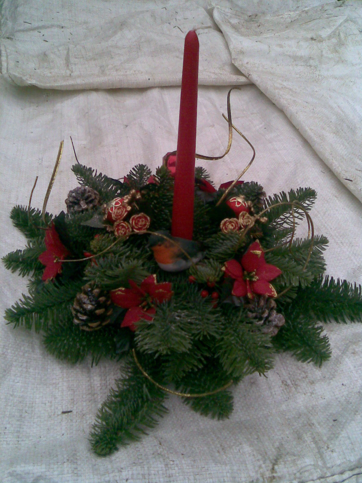 Keeping Christmas Tree Fresh Pictures Wallpapers